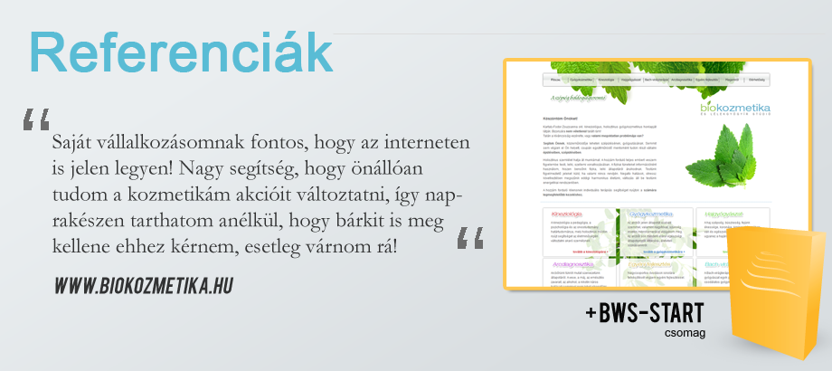 Webfejlesztés, weboldalkarbantartás